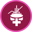 Services